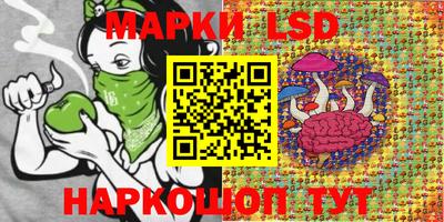 крисы Рязань