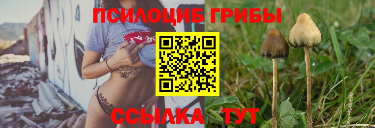 Галлюциногенные грибы мухоморы Симферополь